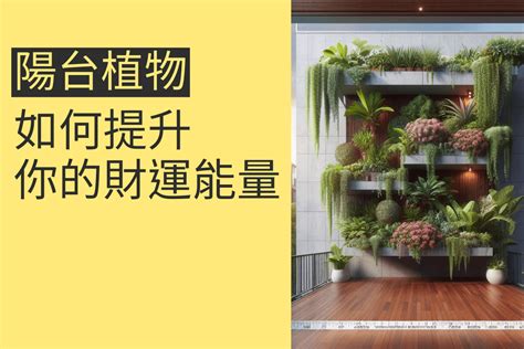 陽台植物招財|陽台植物風水指南：打造生機勃勃、招財納福的綠色天。